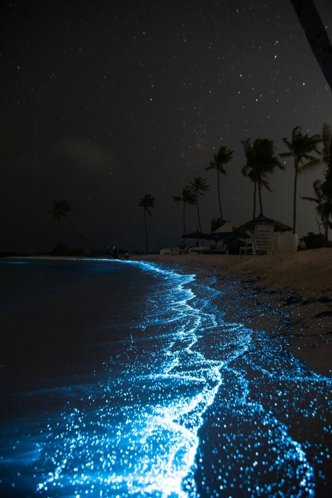 Glowing Beaches – Bioluminescent Waters. These magical scenes come from bioluminescent plankton.