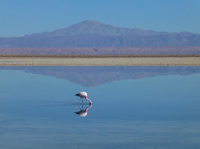 Lake Natron – The Lake That Turns Animals to Stone